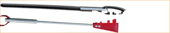 reitgerte