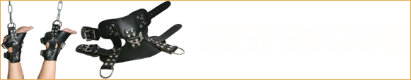 Suspension