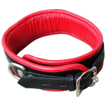 BN2 - Abschließbares Halsband