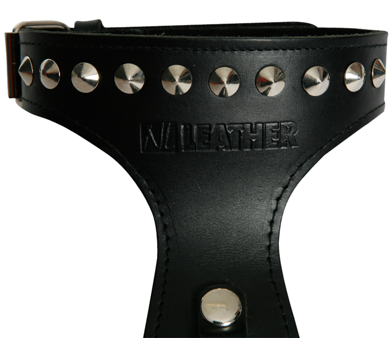 LEATHER SLAVE leather slave: